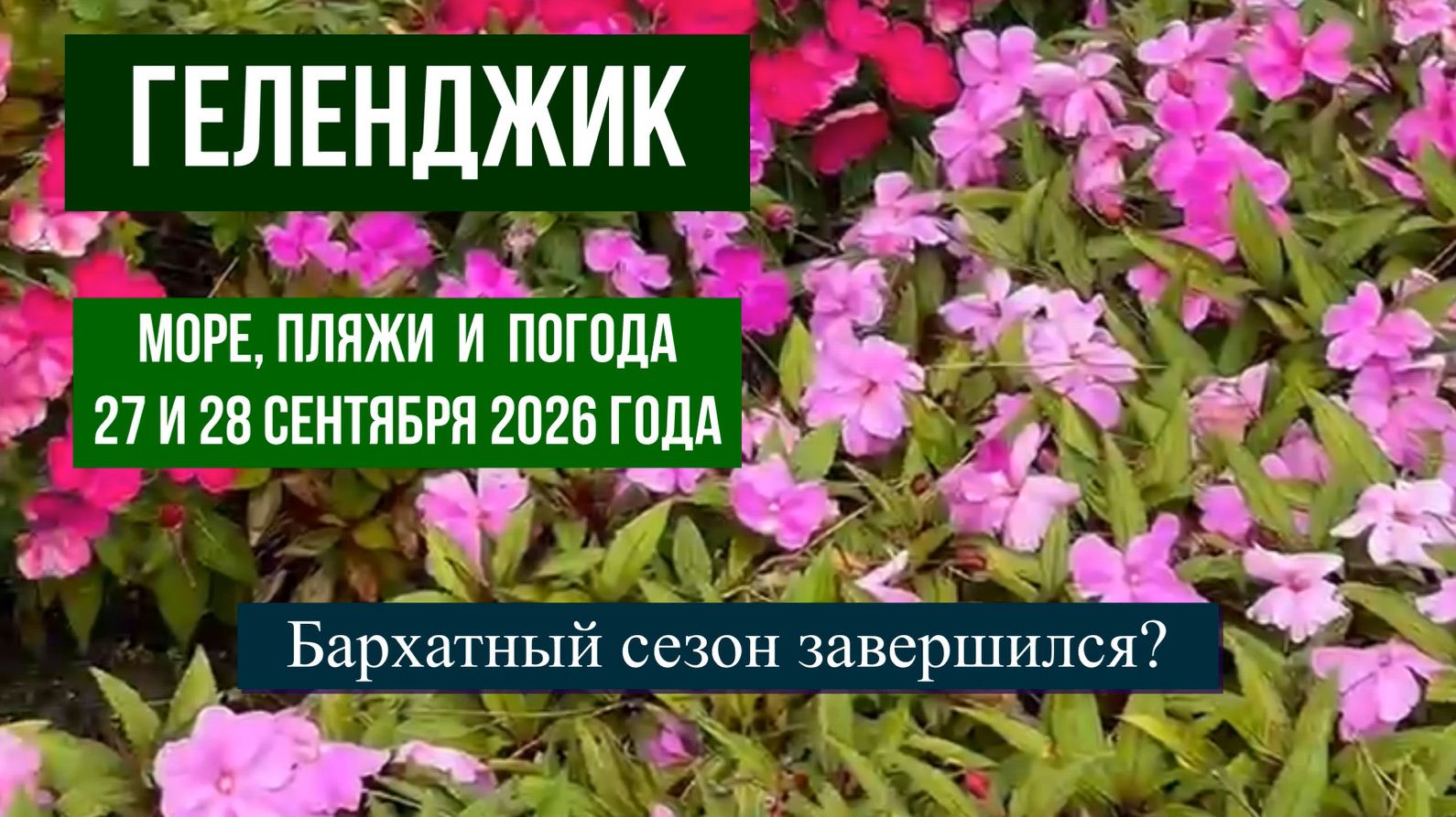 Геленджик, 27 и 28 сентября 2026 года, море, пляжи и погода, Бархатный сезон завершился