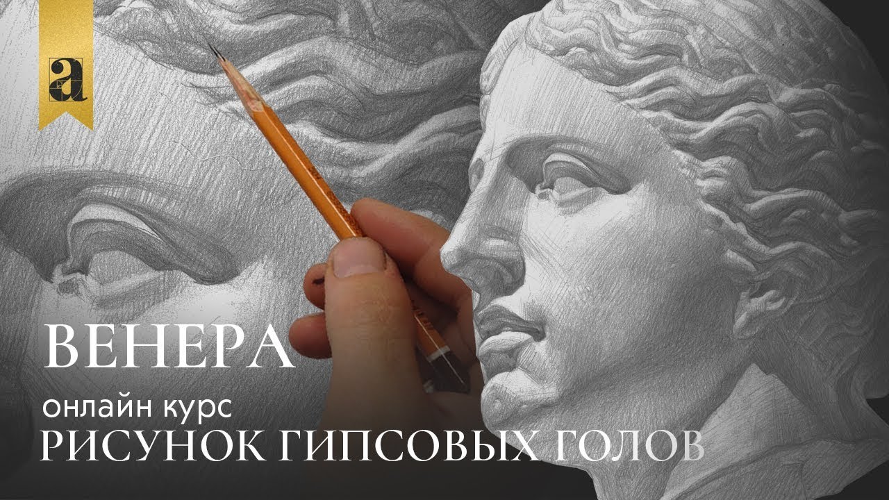 Голова Венеры - Рисунок гипсовых голов | Художник Андрей Томский ~ Онлайн-школа Akademika