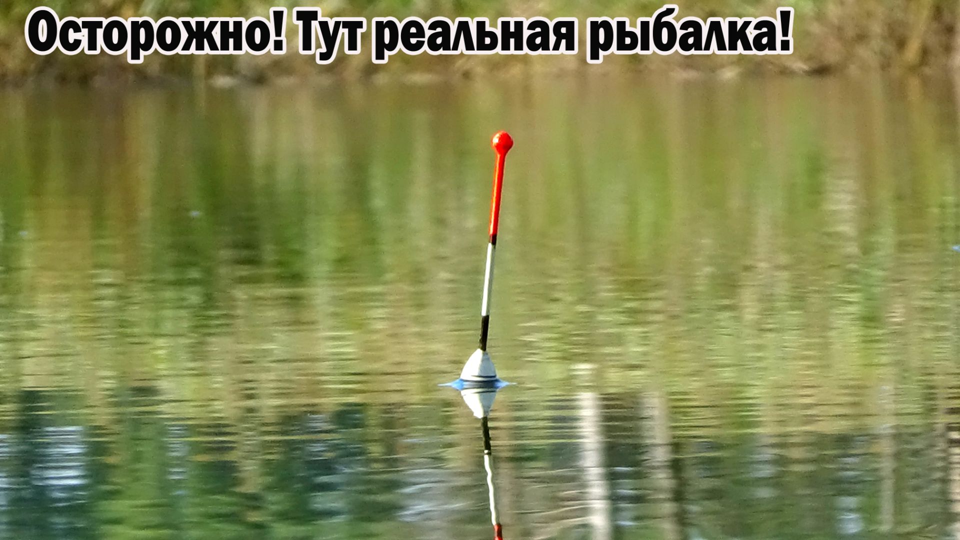 Рыбалка 26 сентября на карася на поплавок на дальнем пруду с берега - применяю 4 метровку!