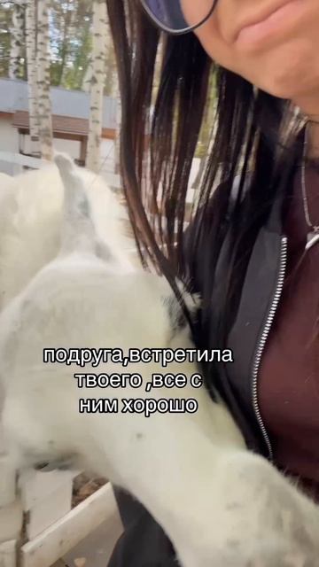 любите животных?