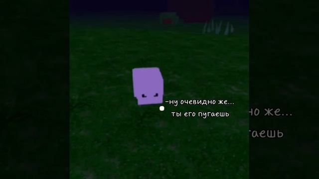 Video_16079573180188