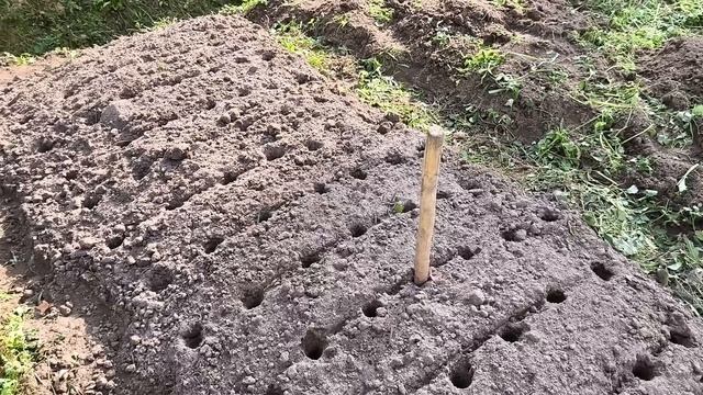 Дачная жизнь, сезонные работы подходят к концу.