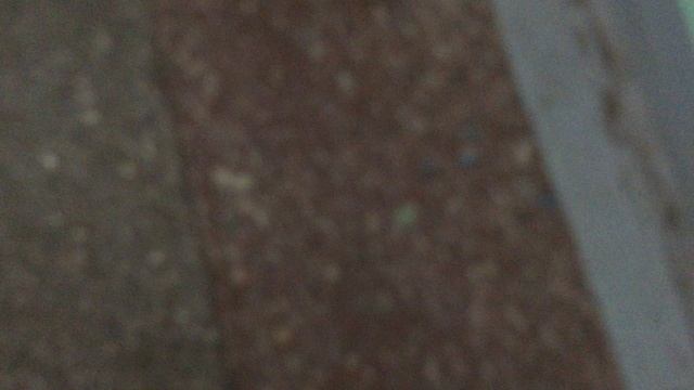 Теорема ЖКХ_Подъезд_2026.09.28_08-50