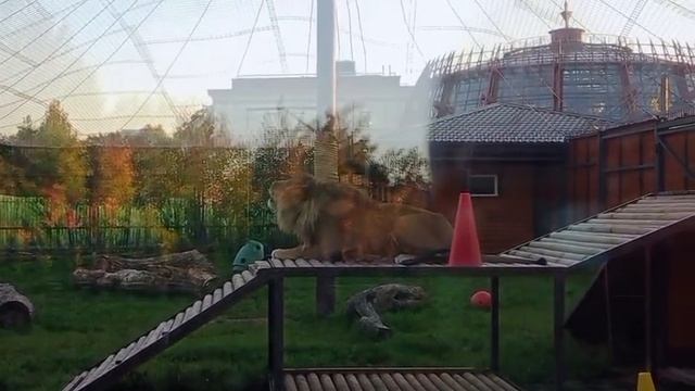FOVV2105-Видео от Ивана-28.09.2026
