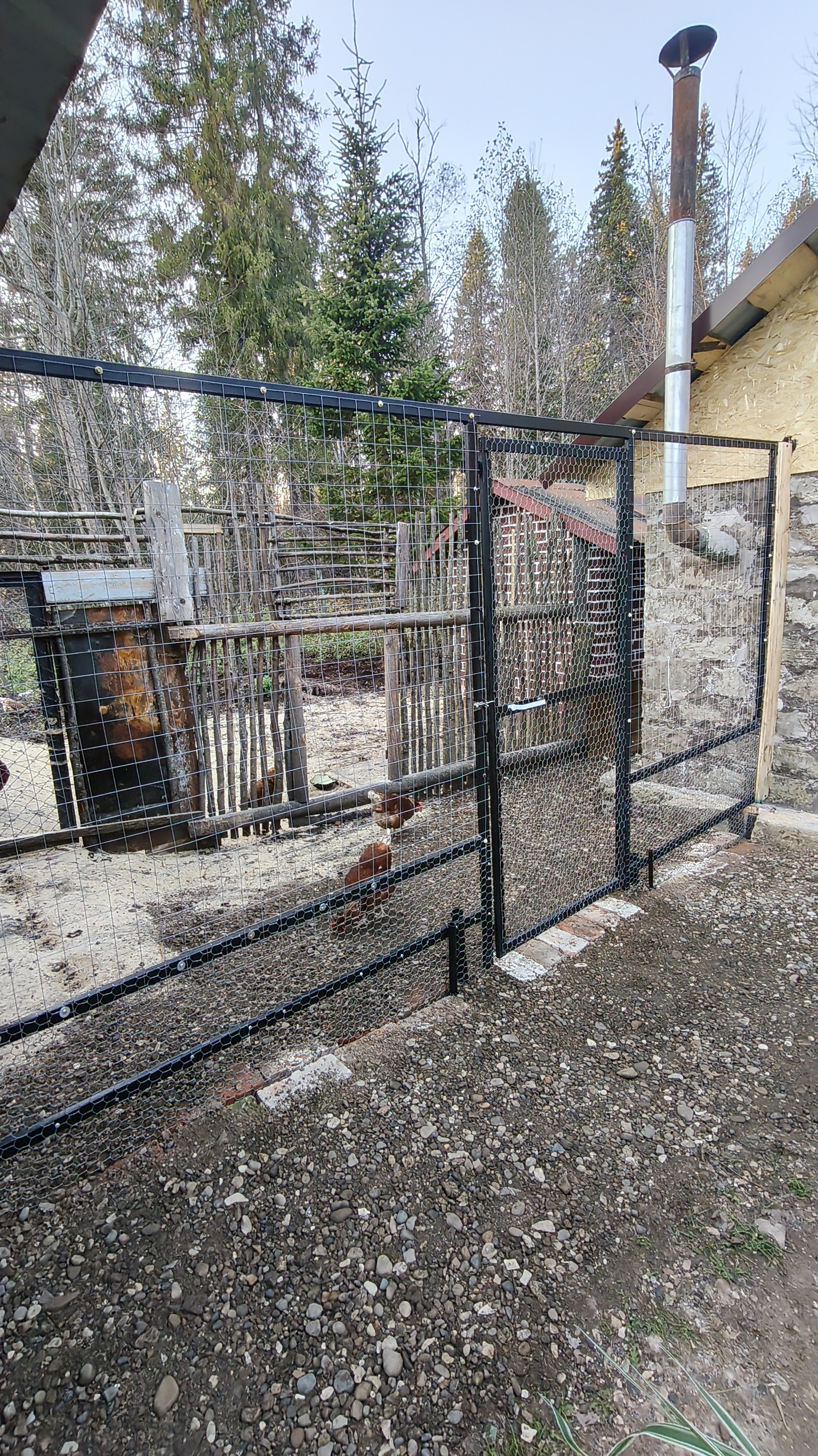 🐓Куриная Калитка🐤
