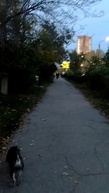 Вечерняя прогулка от улицы Камышинская до Корунковой.