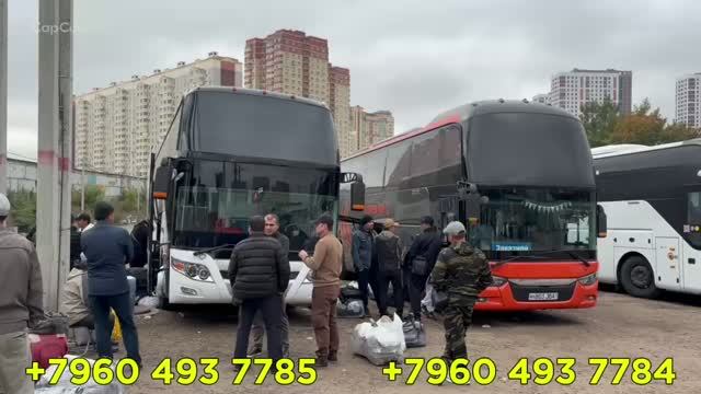 Москва Ташкент автобус