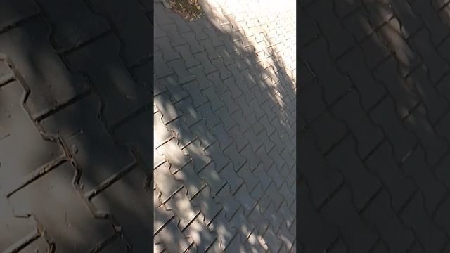 7786.mp4