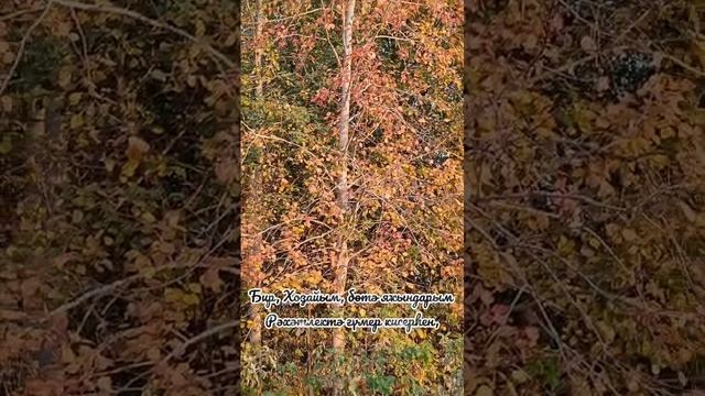 Бир Хоҙайым