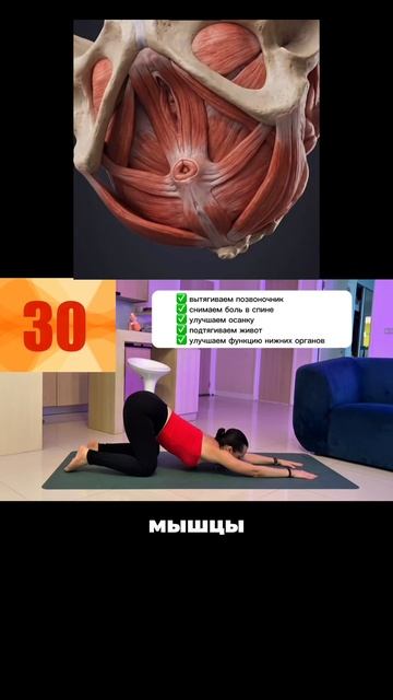 Простое упражнение для спины и мышц подтягивающих живот. Полный комплекс уже на канале