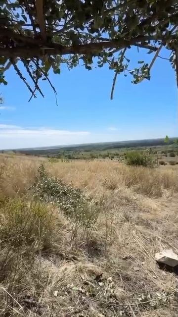 Как же прекрасен этот мир.