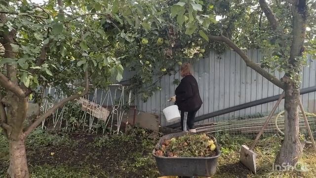 ДВА ДНЯ:ГДЕ БЫЛА, ЧТО ДЕЛАЛА🧑🌾📌/жизнь здесь и сейчас ✅❤️