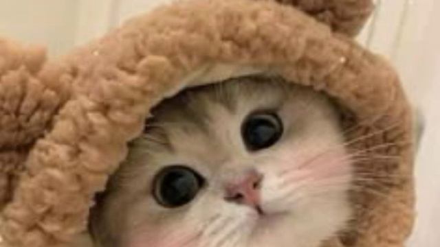 приглашаю всех поиграть в супер Бен код:383-491 предупреждаю буду снимать в игре