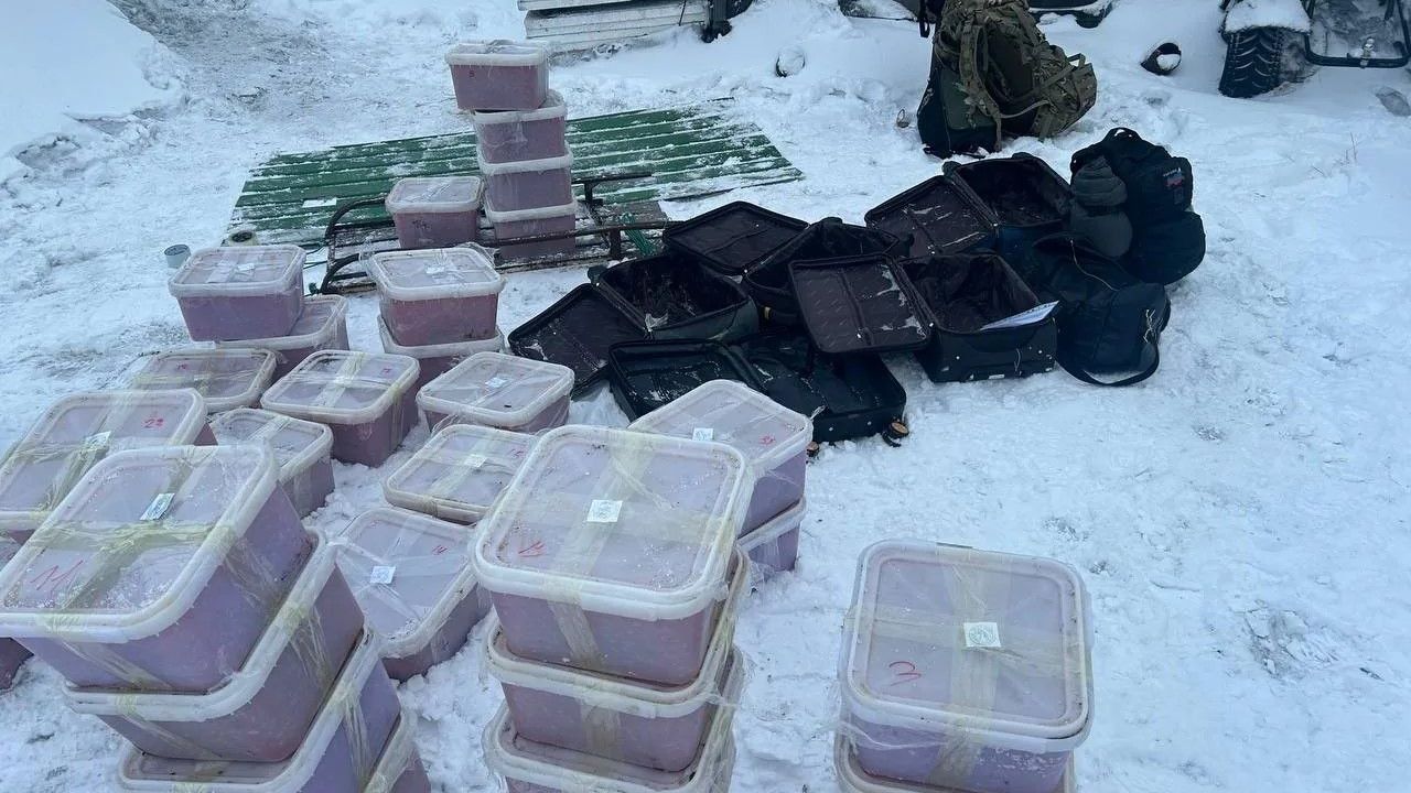 Пресечён канал сбыта немаркированной икры: в Магадане осудили шесть участников двух преступных групп