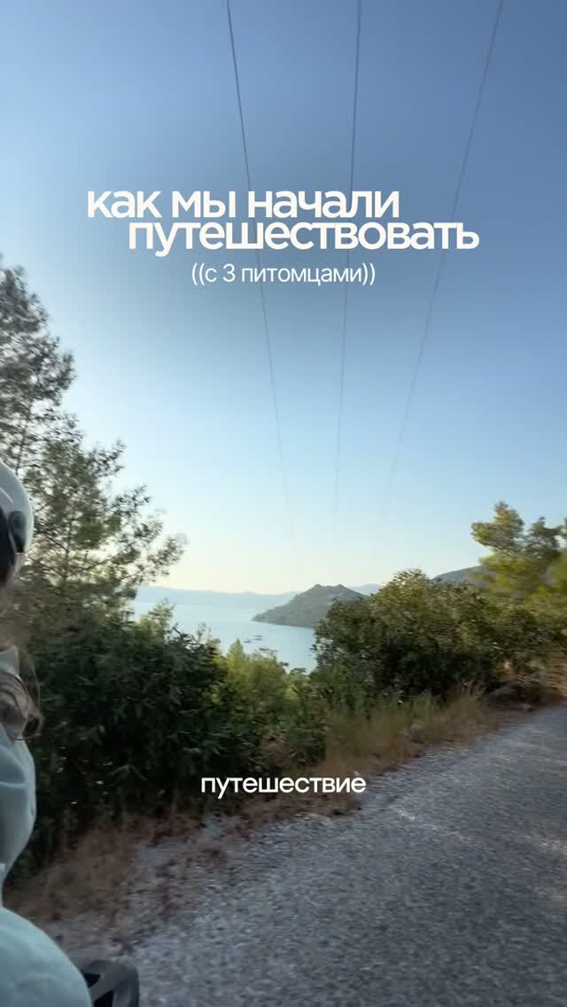 Каждое утро — лучший вид из окна (и новый) 🌍