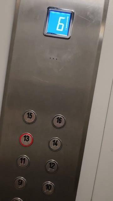 Типсина