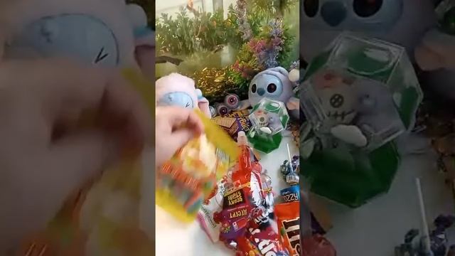 ASMR Chocolate Live! Chocolate ASMR For Your Pleasure And Satisfaction A Pleasant Sleep Experience