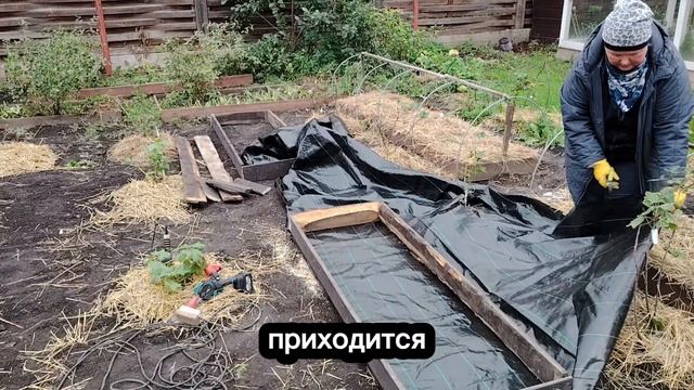 Готовим грядки с осени к сезону 2027