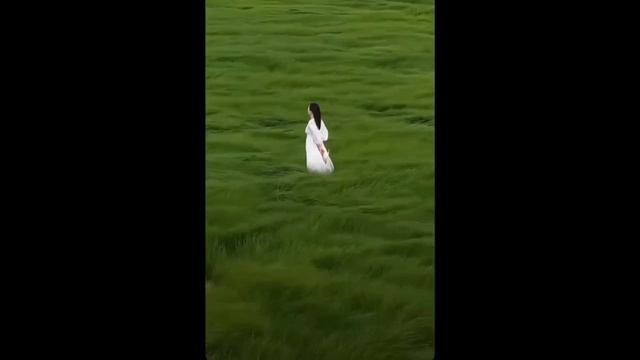 Продолжил жить.mp4