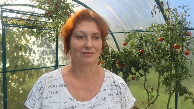 приняла эстафету..передала далее