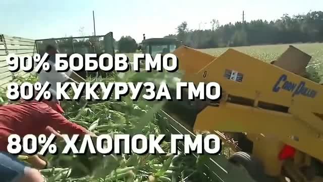 ПОЛИТИКА МАСОНОВ! ФОНД РОКФЕЛЛЕРОВ! 👆😞 ЦЕЛИ ПО СОКРАЩЕНИЮ НАСЕЛЕНИЯ! ЧЕМ ОПАСНО ГМО! ГЕННЫЕ БАНКИ!
