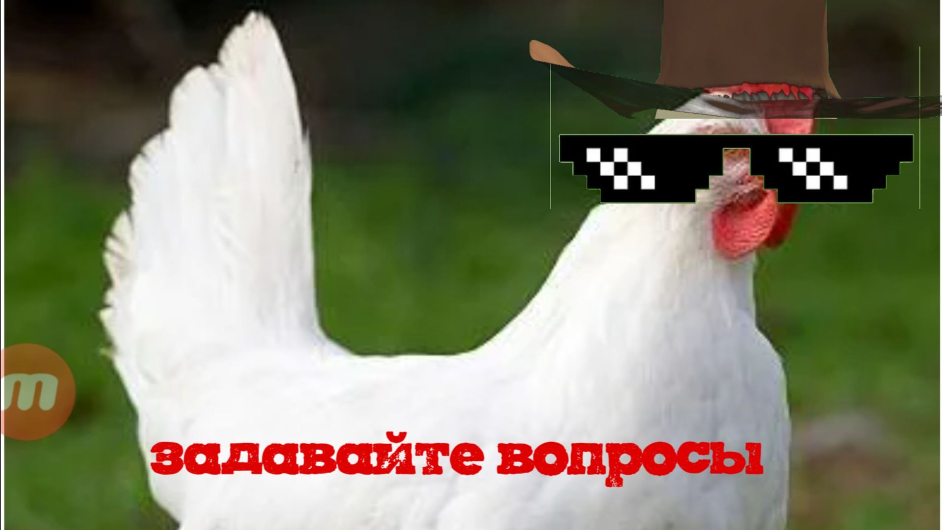 Задавайте вопросы