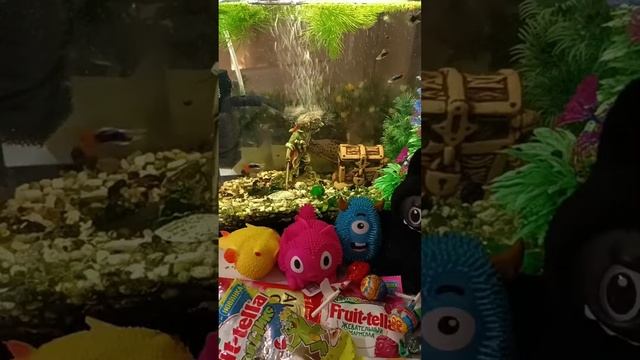 Chocolate ASMR Live With The Giant Fish And Chocolates