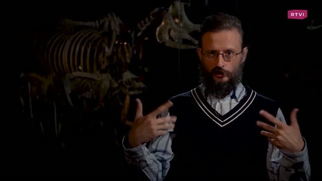 Обнимашки Vs вражда: к какому поведению склонен человек? // Дробышевский. Человек разумный