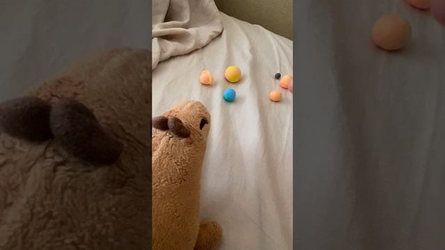 Мы Жени проходим каменные планеты