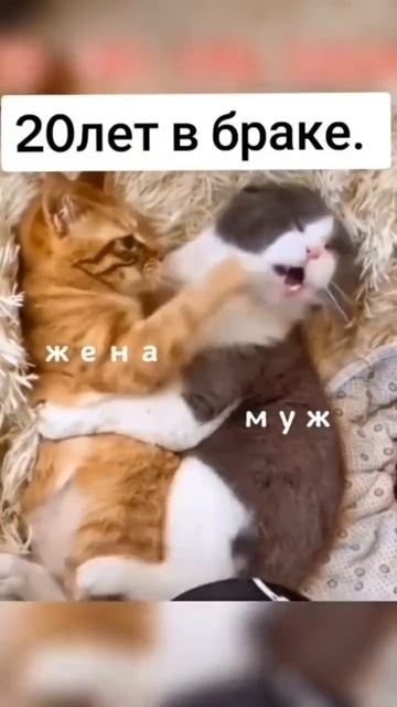 Точь в точь про меня)))