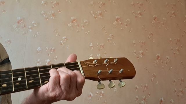 Гитара.Для начинающих.