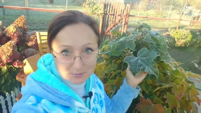 Видео привет с 6 соток 28 сентября 2021 года. Минус 5