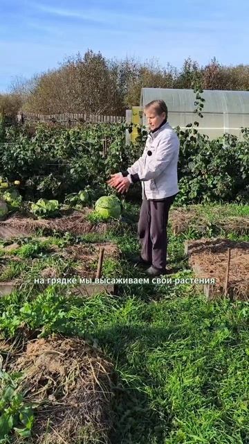 Для чего делать грядки