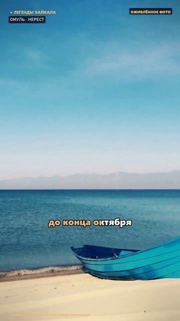 Байкал в октябре: горячий бассейн, паром до льда, омуль на нересте и когда встанет лёд