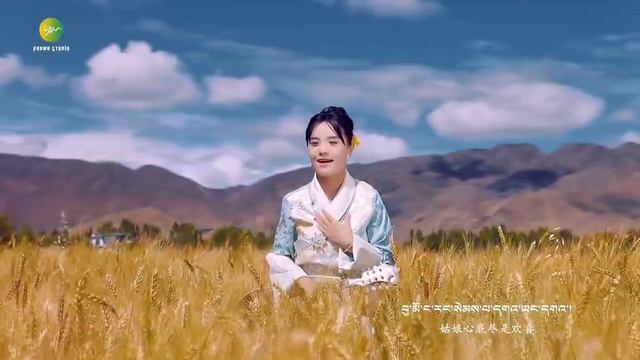 Tibetan Song 2026 ༼བུ་མོ་ང་ནི་གླུ་མ་ཆུང་ཆུང་ཡིན།༽གཞས་མ། ཚེ་རིང་སྒྲོལ་དཀར། By Tsering Dolkar 2026