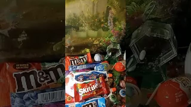 ASMR Chocolate For Your Pleasure And Satisfaction, ASMR And Wonderful Sleep