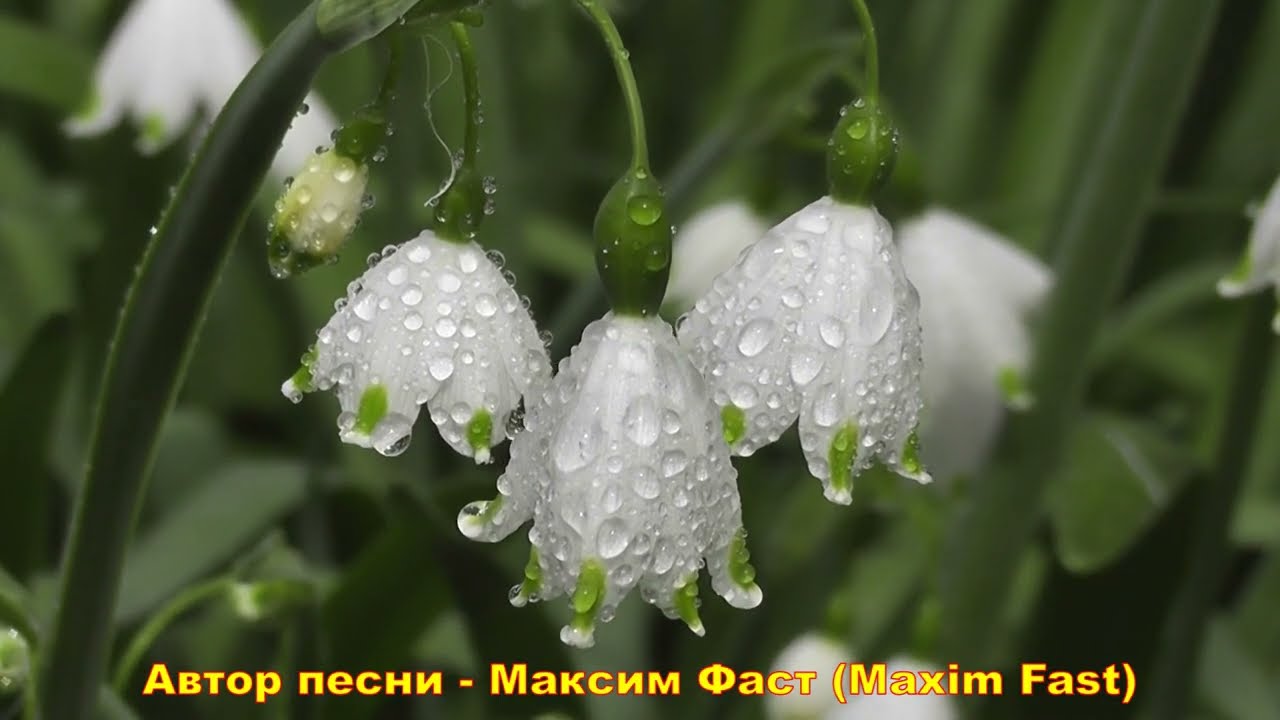 Весенний ветер /Поёт автор /Шансон, красивый городской романс под гитары