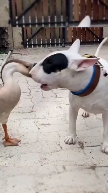 😊