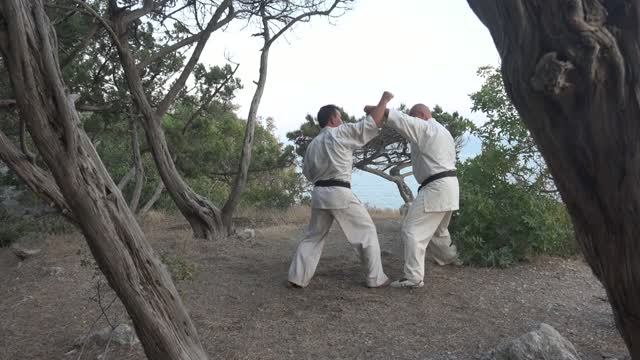 Будо Каратэ 2017 г.(4). Budo-karate  (Combat Karate). Прикладной раздел Кёкусинкай (10-й кю)