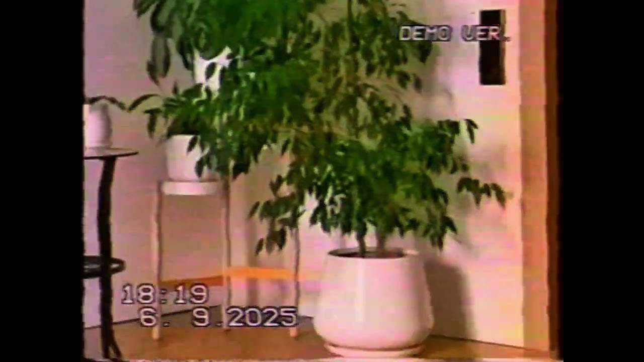 True VHS (Test VHS)