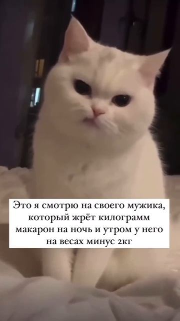 У Вас так же ?