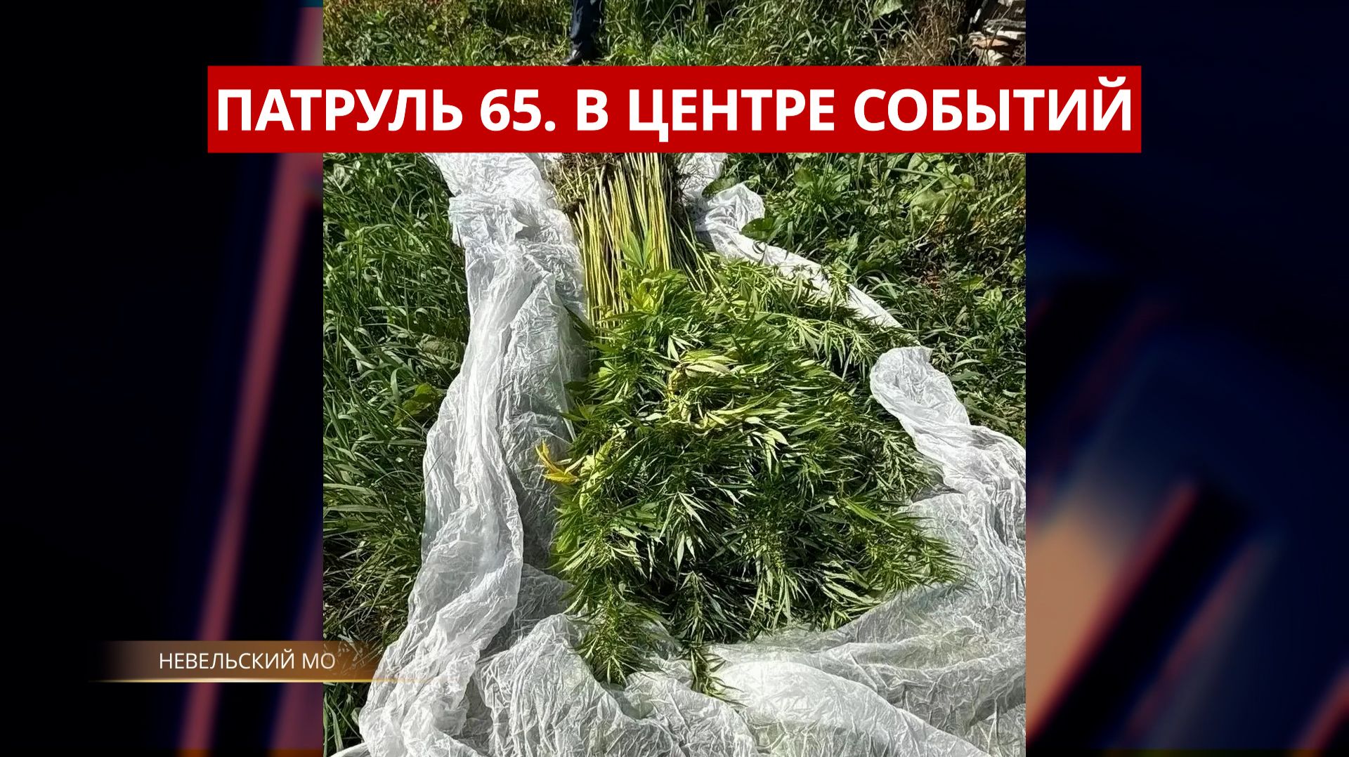 28.09.2026 ПАТРУЛЬ 65. Взрыв в квартире, плантация конопли и пожар в Поронайске. Сахалин и Курилы