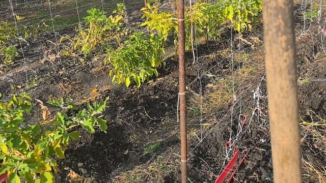 Влог : Осеняя уборка на даче.