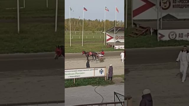 Новосибирск. Ипподром