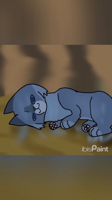 коты воители анимация