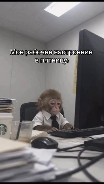 😂😂😂