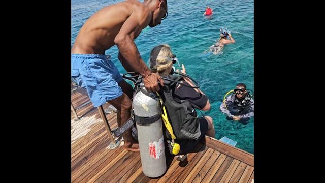 Ныряем в красное море, подводная красота