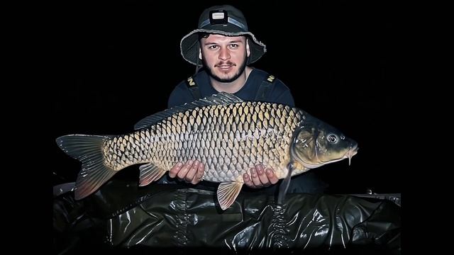 @CarpTrio