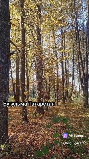 Золотая осень в Бугульме. Успевайте полюбоваться