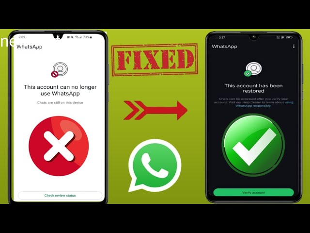 Эта учетная запись больше не может использовать WhatsApp. Решение проблемы